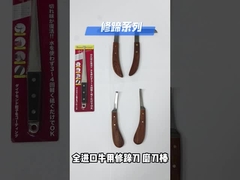 ডাবল সাইড হুপ কাটার কাঠের হুপ ট্রিমিং ঘোড়ার হুপ কাটার জন্য, কাঠের উৎপাদন